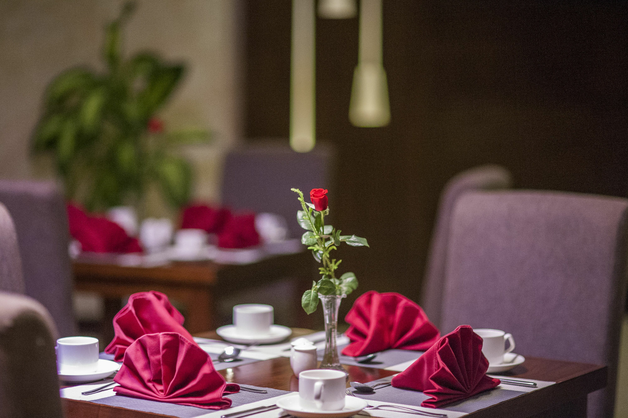 Muong Thanh Grand Quang Tri Hotel Eksteriør bilde